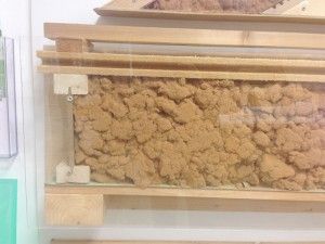 Modellbeispiel einer Geschossdecke zum Dachboden.