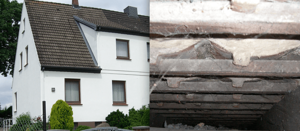Marderschaden an Haus, Dach oder Dämmung
